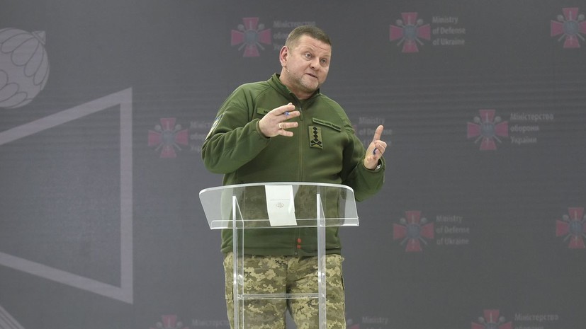 Экс-премьер Украины Азаров: отставка Залужного зависит от США, а не от Зеленского