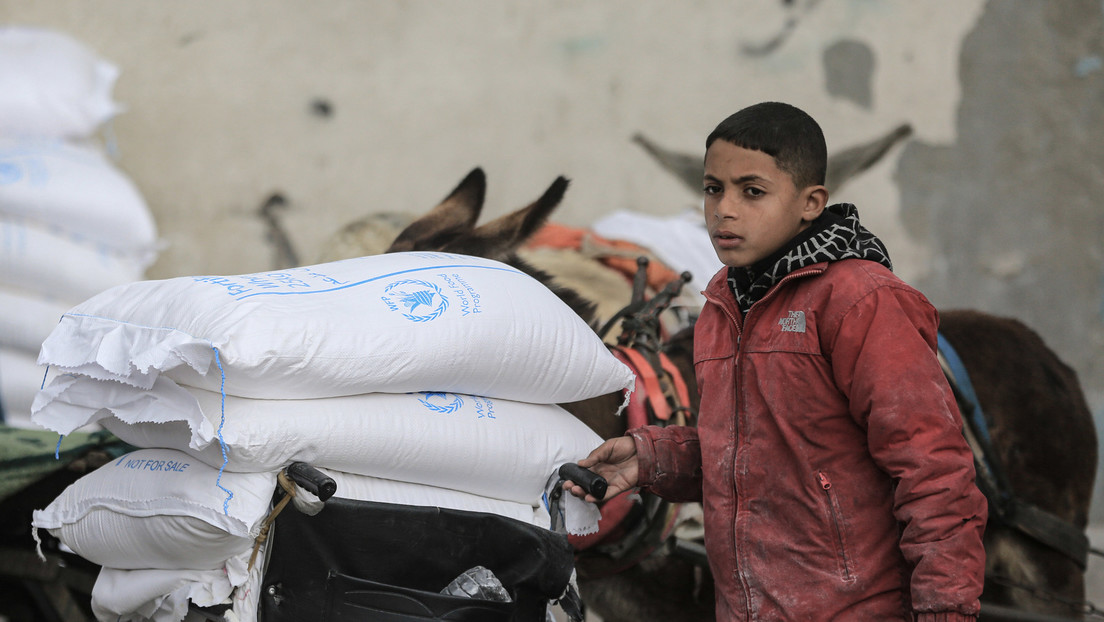 Gaza-Konflikt: Statt den Genozid zu verhindern, leistet Deutschland aktive Beihilfe