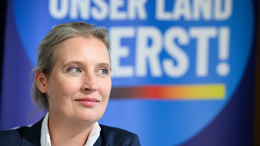 Alice Weidel, Bundesvorsitzende der AfD