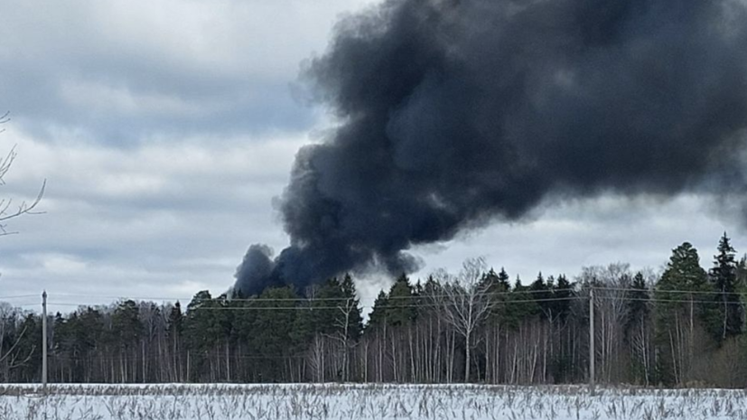 Жительница Ивановской области рассказала о сильном взрыве при крушении Ил-76