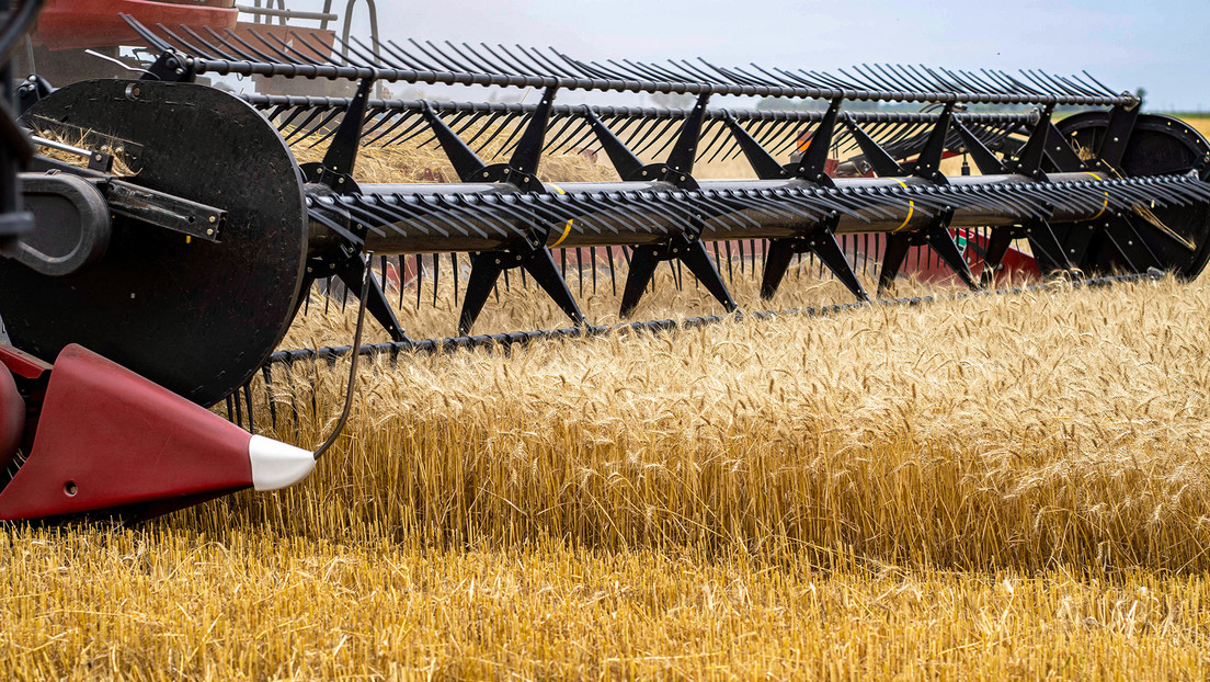 Pérdidas millonarias en el agro y estado de emergencia: el impacto de la grave sequía en Argentina