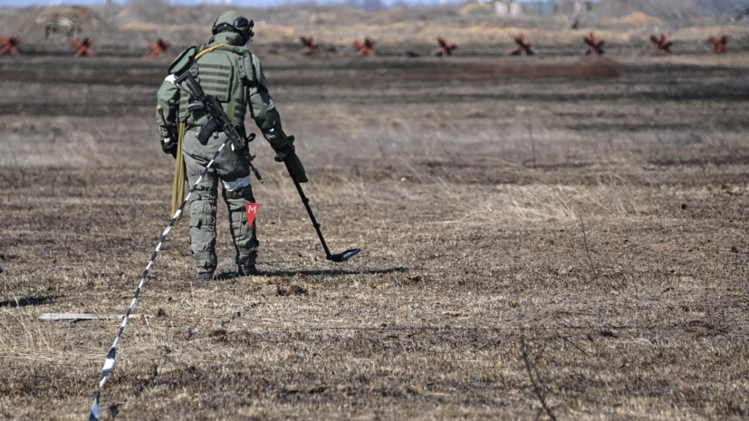 На Украине заявили о создании крупнейшего в мире минного поля