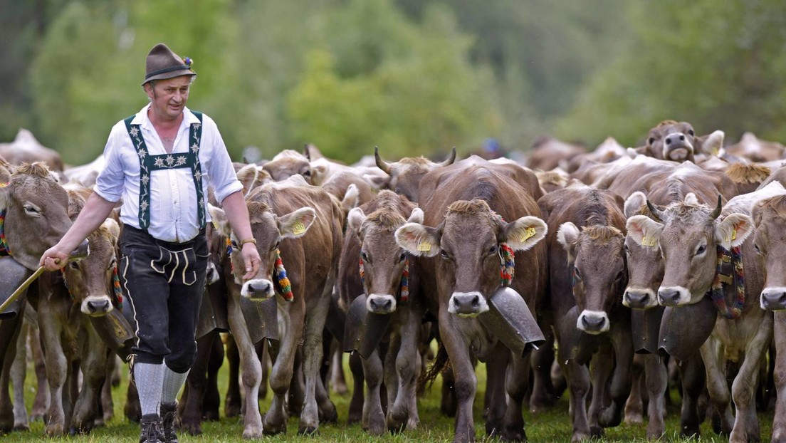 WHO-Generaldirektor: Fleischverzicht für das Klima