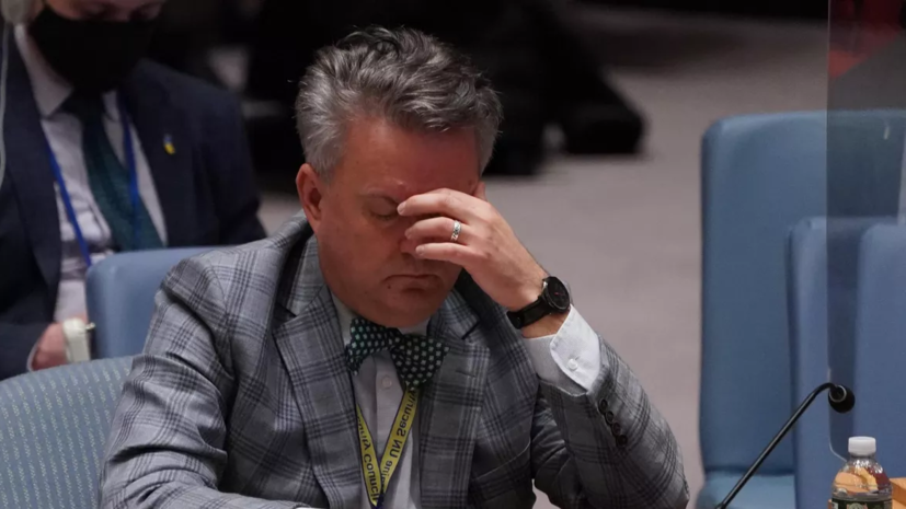 Полянский допустил, что постпреду Украины понадобится психиатрическая помощь в СБ ООН