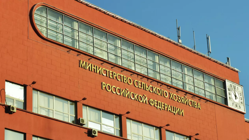 Минсельхоз: экспорт российского продовольствия в 2022 году вырос почти на 12%