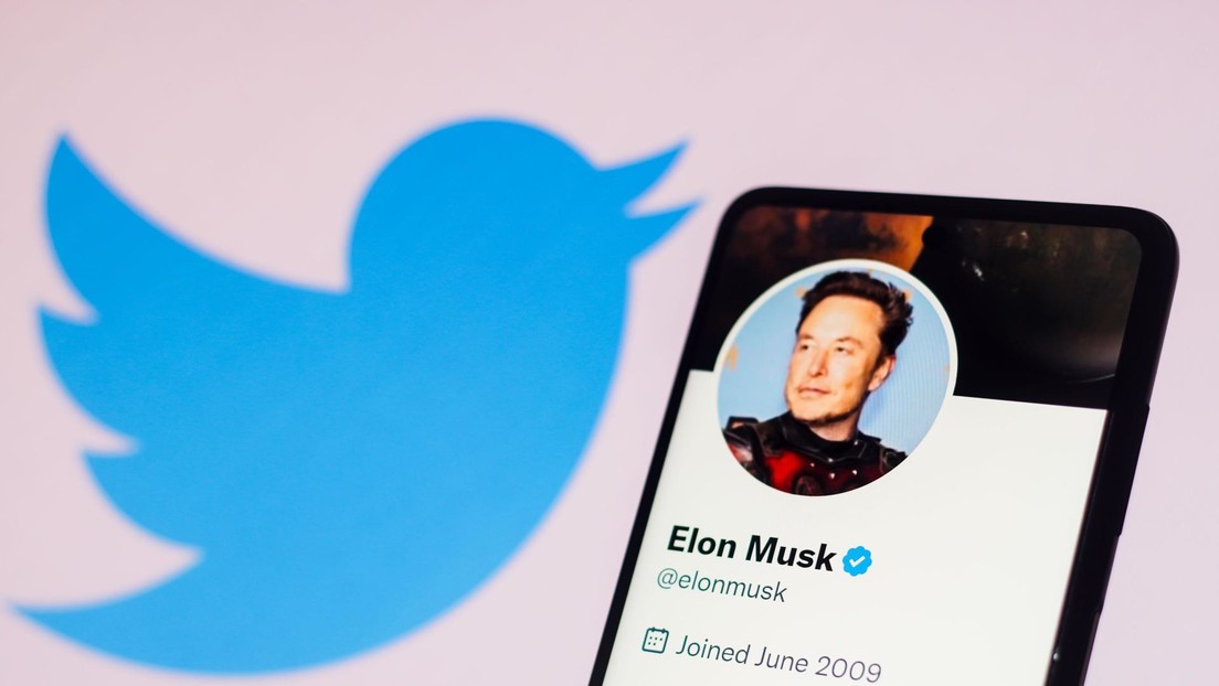 Musk pone en las manos de los usuarios de Twitter su destino en la red social