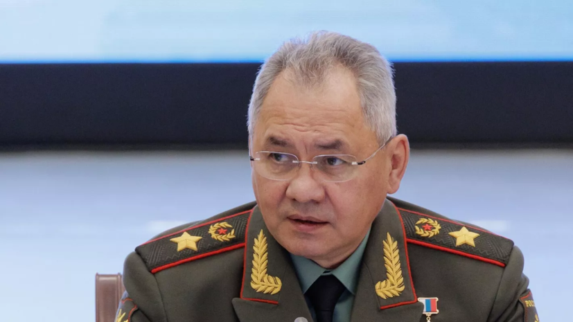 Шойгу поручил установить на кораблях ЧФ дополнительные средства поражения БПЛА