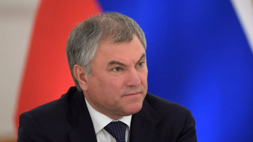 Володин предложил сформировать комиссию ГД по вопросам миграционной политики