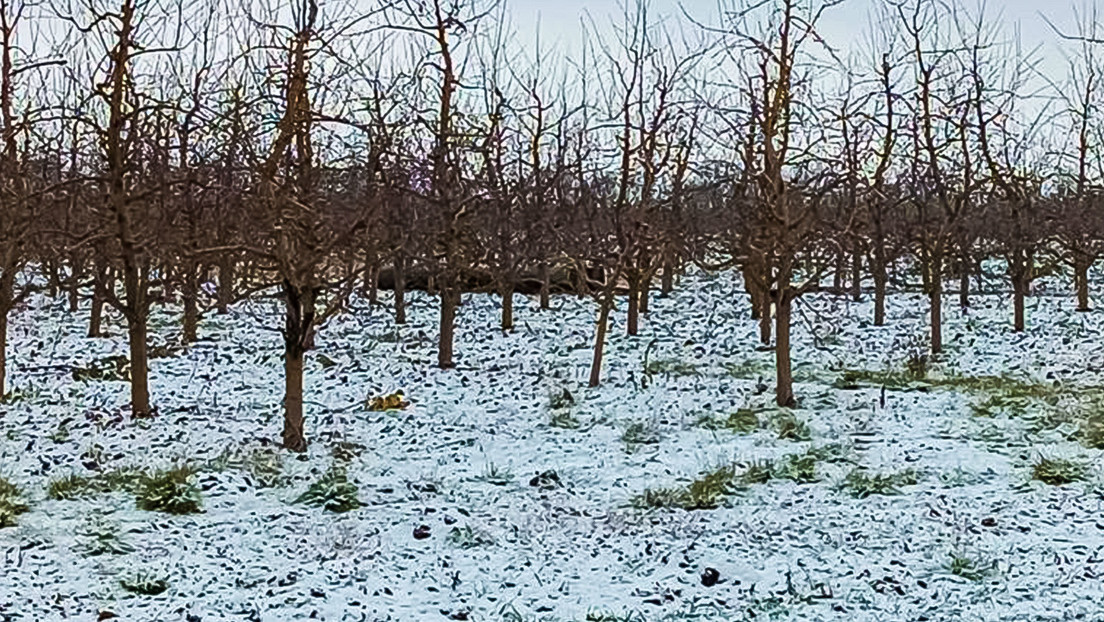 Hallan un misil caído en Moldavia (FOTO)