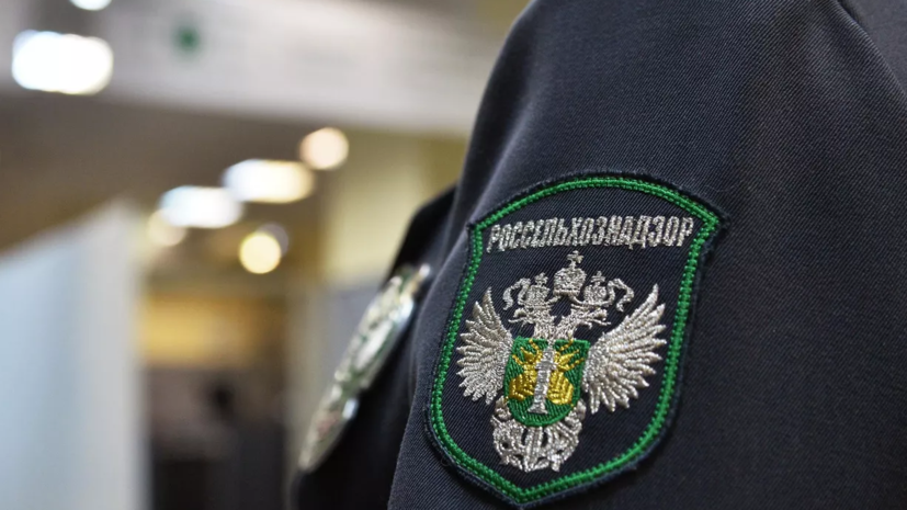 Россельхознадзор готов работать над возвратом в Россию овощей из Молдавии