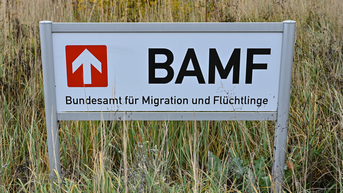 Einbürgerung: Gekommen, um zu bleiben
