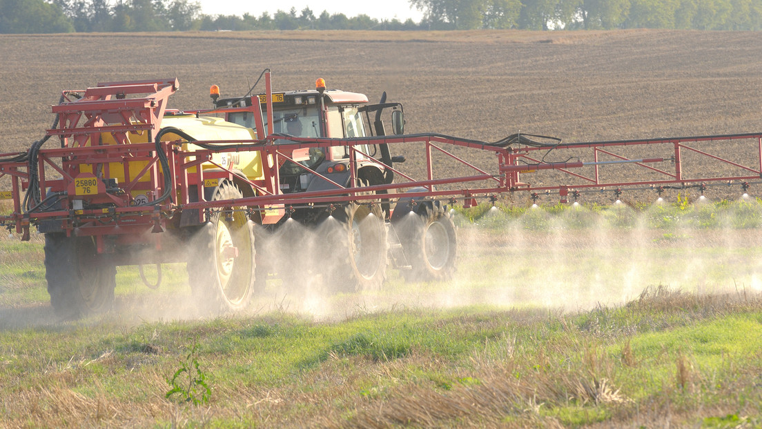 Una batalla de vida o muerte para México: los bioinsumos como alternativa agroecológica